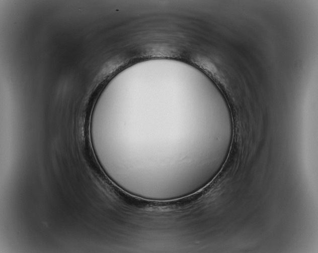 X0000086250299200704191848