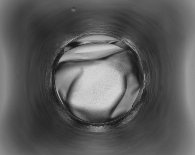 X0000086250301200704191848