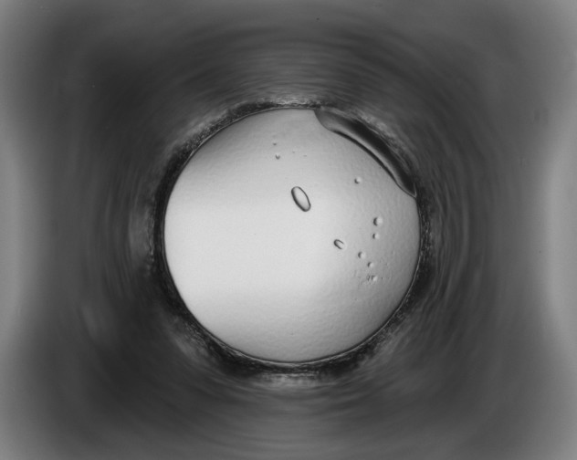 X0000086250303200704191848