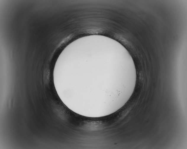 X0000086250304200704191848