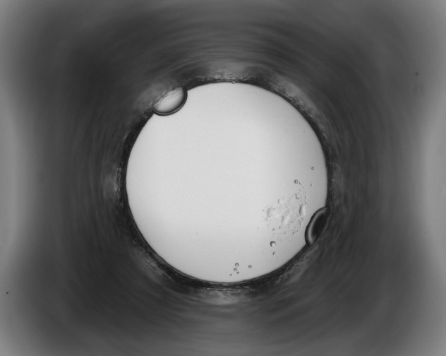 X0000086250305200704191848