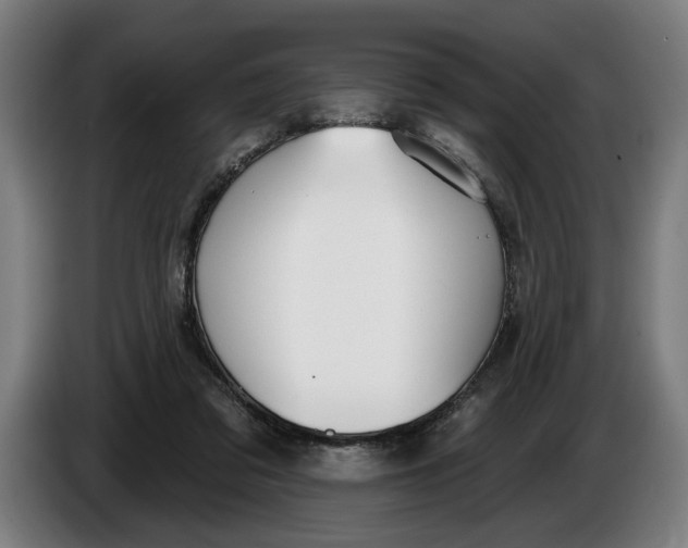 X0000086250309200704191848