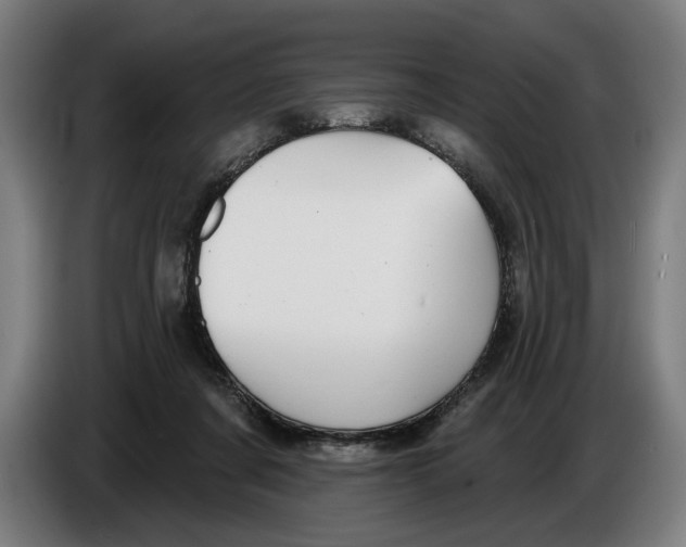 X0000086250311200704191848