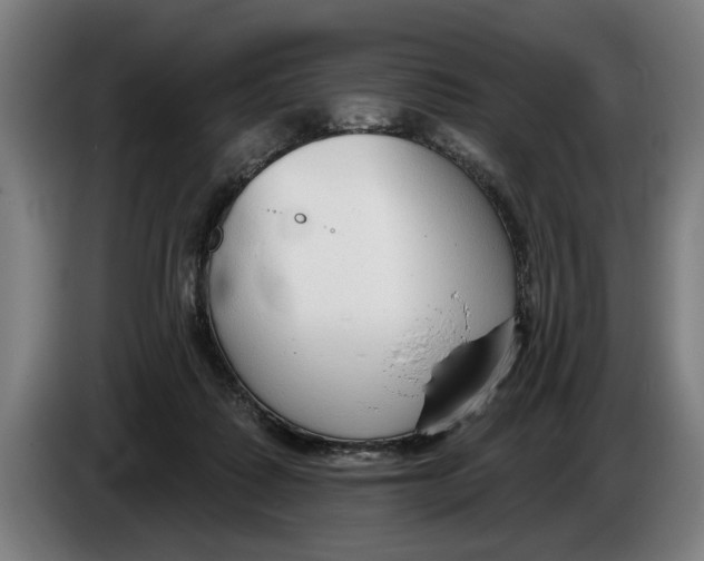 X0000086250315200704191848