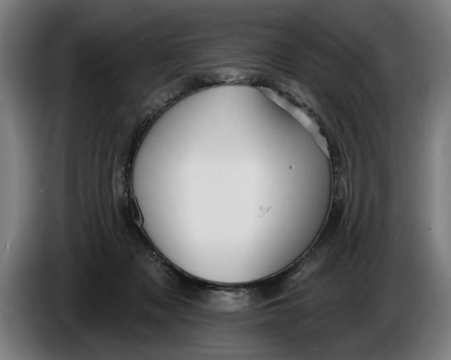 X0000086250317200704191848