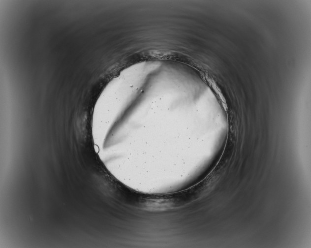 X0000086250319200704191848