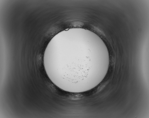 X0000086250321200704191848