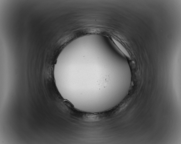 X0000086250325200704191848