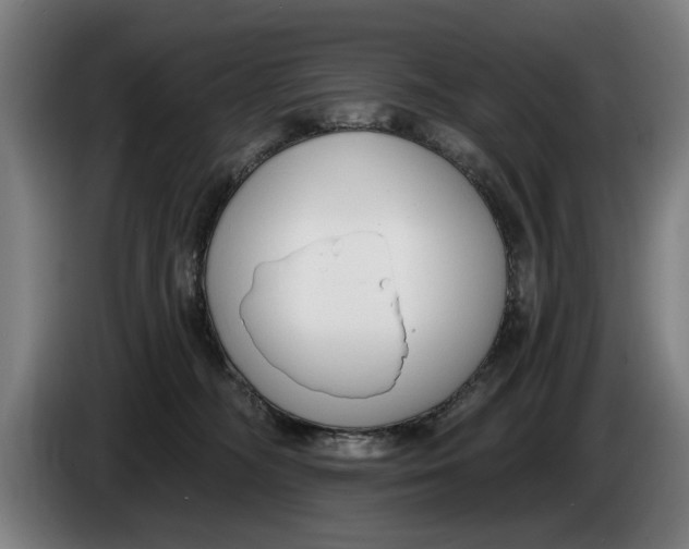 X0000086250326200704191848