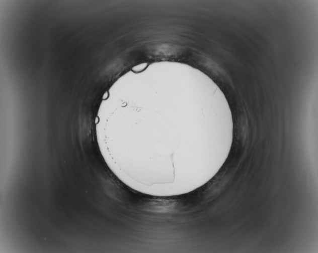 X0000086250328200704191848
