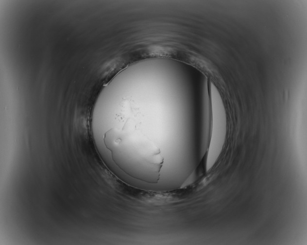 X0000086250329200704191848