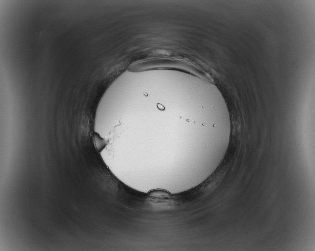 X0000086250331200704191848