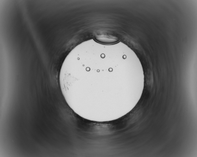X0000086250332200704191848