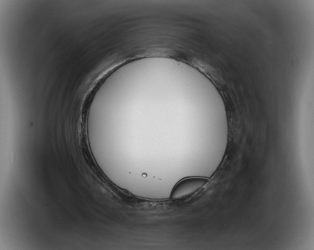 X0000086250338200704191847
