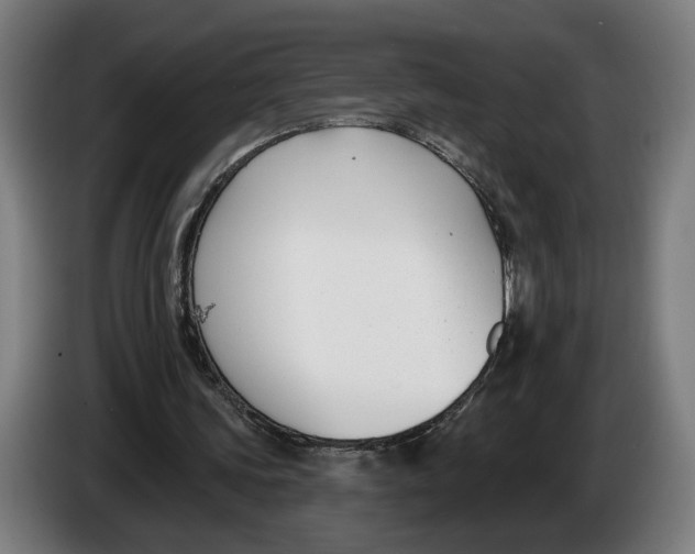 X0000086250339200704191847
