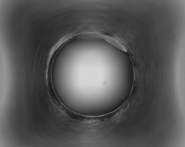 X0000086250340200704191847