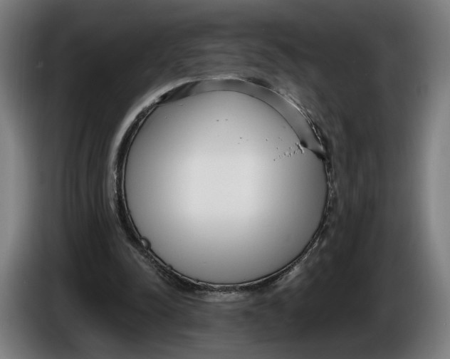 X0000086250342200704191847