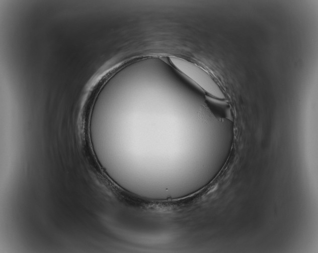 X0000086250343200704191847