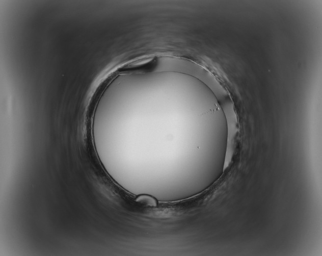 X0000086250344200704191847