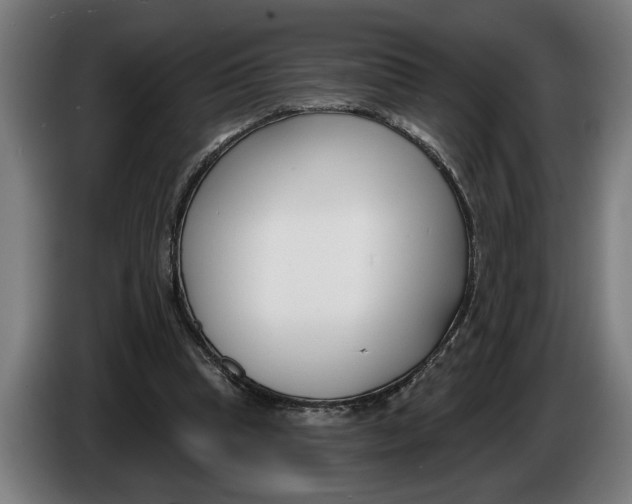 X0000086250345200704191847