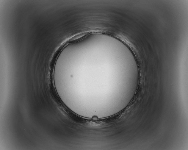 X0000086250346200704191847