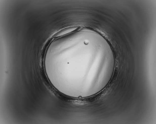 X0000086250347200704191847