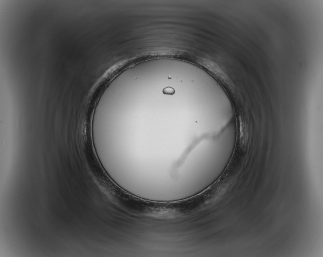 X0000086250348200704191847