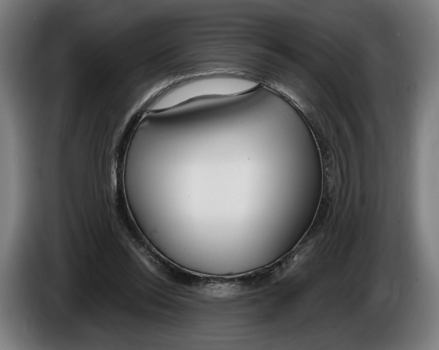 X0000086250350200704191847