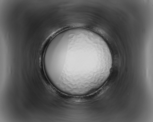 X0000086250351200704191847