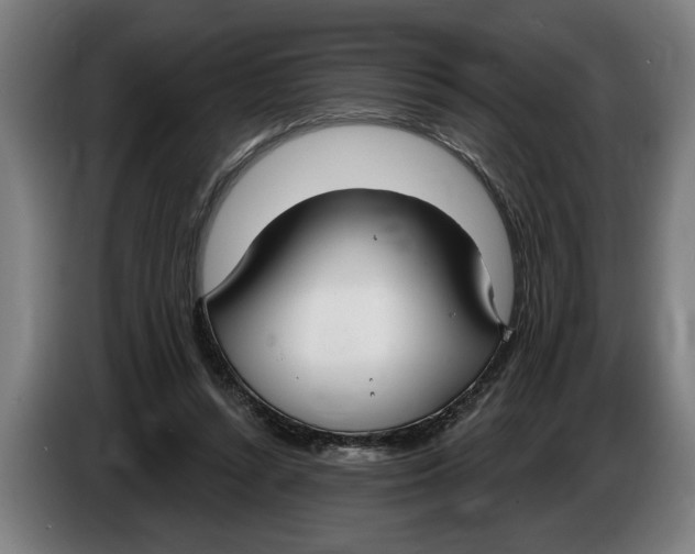 X0000086250352200704191847