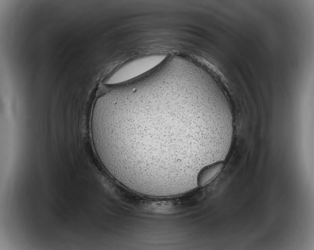 X0000086250353200704191847