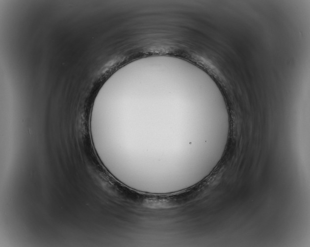 X0000086250354200704191847
