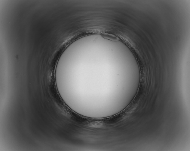 X0000086250355200704191847