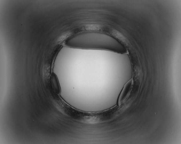 X0000086250356200704191847