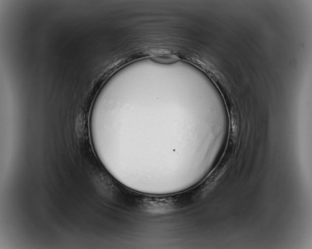 X0000086250359200704191847