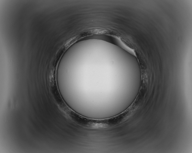 X0000086250360200704191847