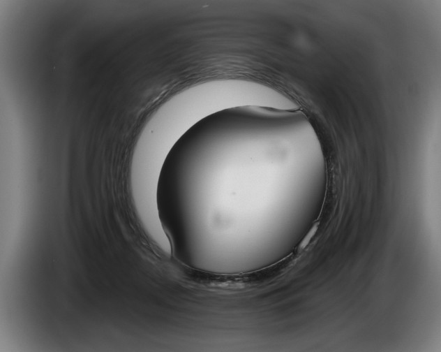 X0000086250362200704191847