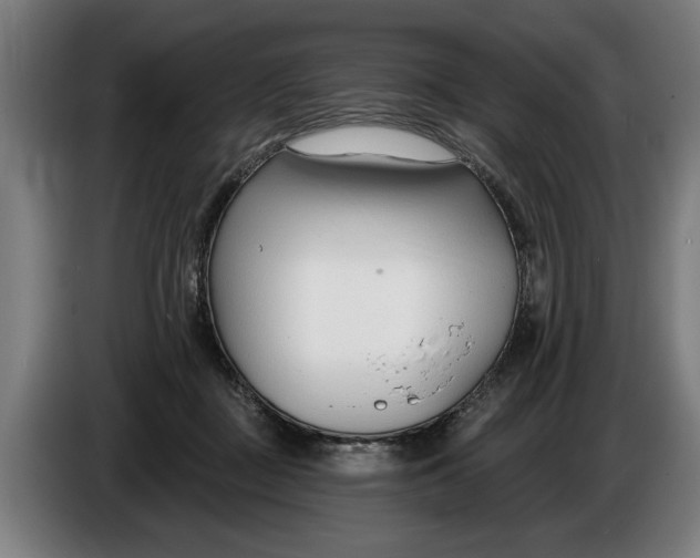 X0000086250363200704191847