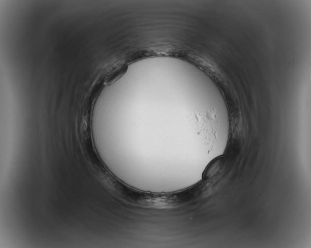 X0000086250365200704191847