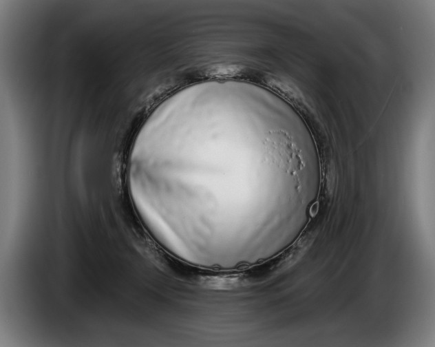 X0000086250366200704191847
