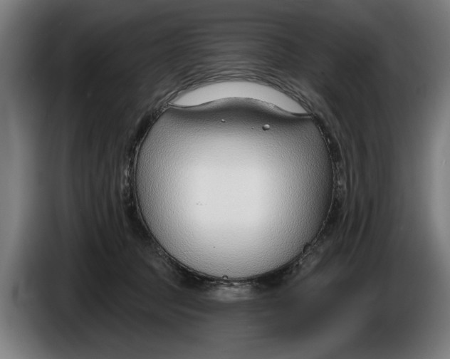 X0000086250369200704191847