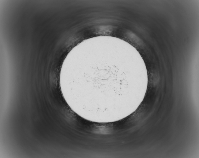 X0000086250370200704191847
