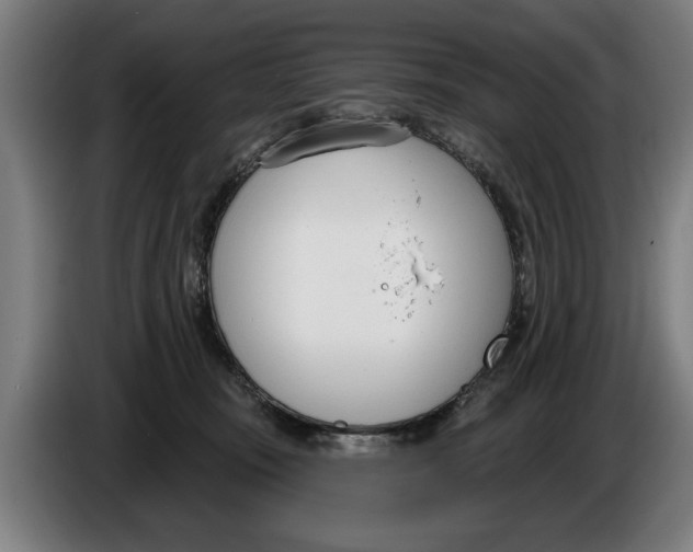 X0000086250371200704191847