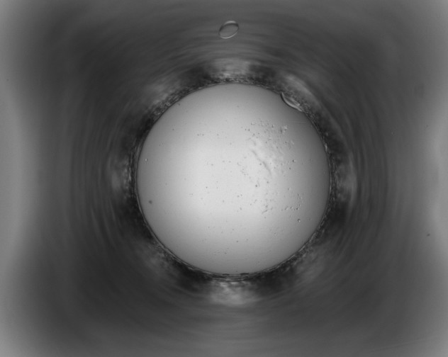 X0000086250372200704191847