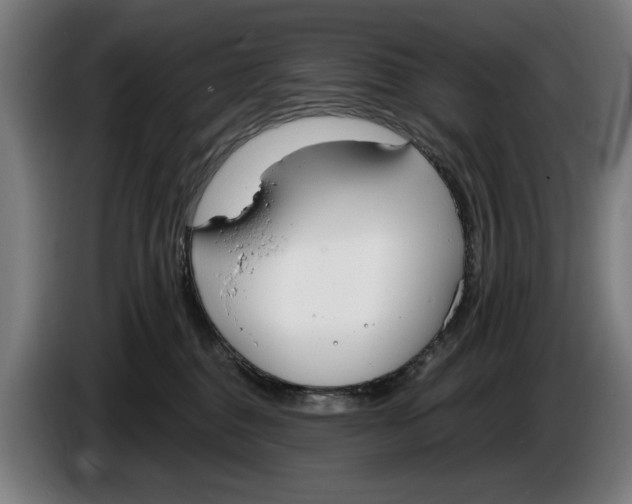 X0000086250376200704191847
