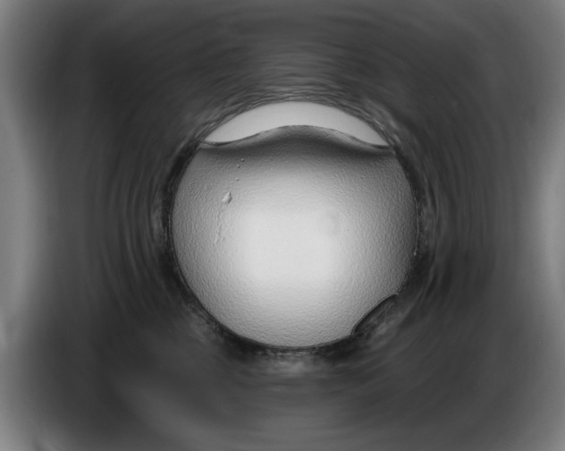 X0000086250377200704191847
