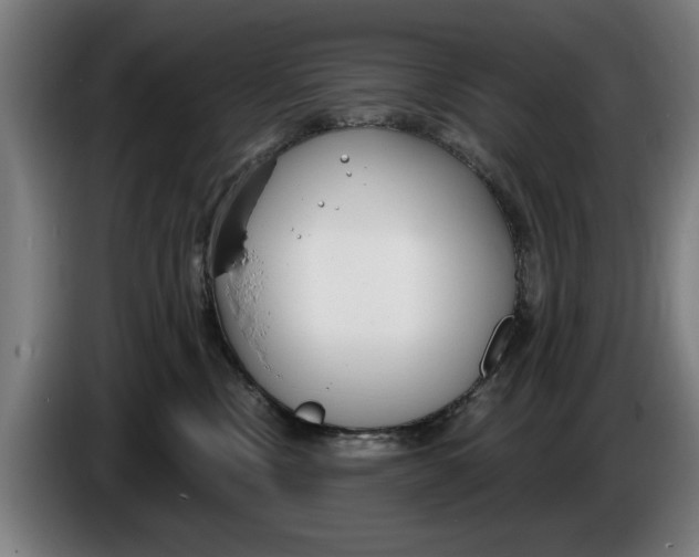 X0000086250378200704191848