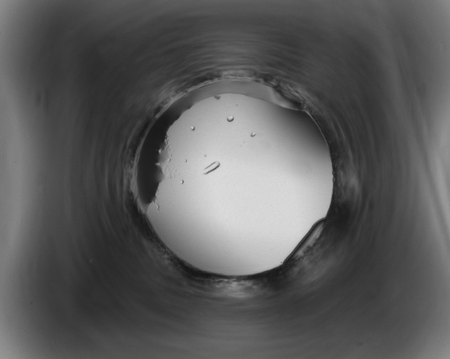 X0000086250379200704191848