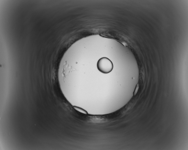 X0000086250380200704191848