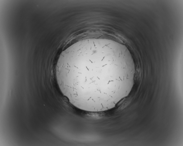 X0000086250381200704191848